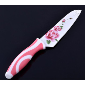 Stainless steel kitchen chef knife fruit knife UDTEK3005